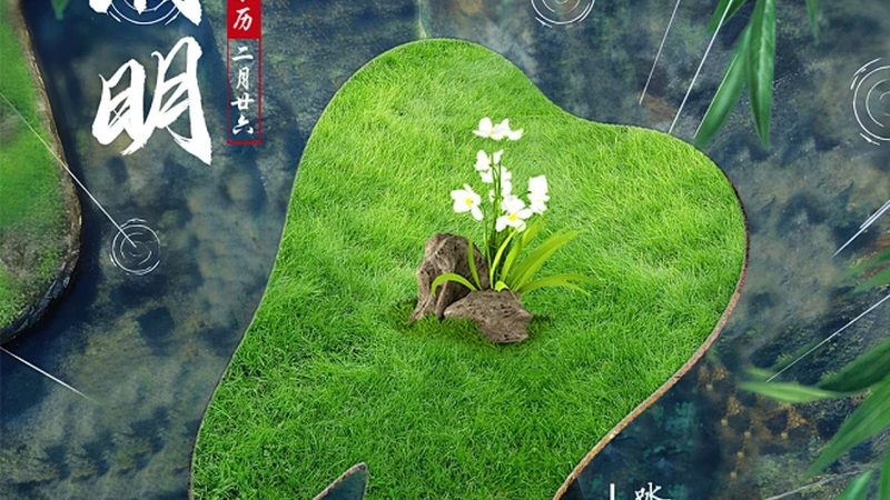 种植牙集采政策下，批发价格如何变化？**